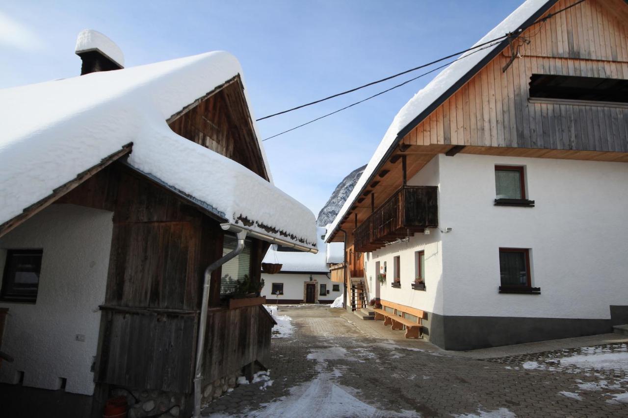 Kocjanc