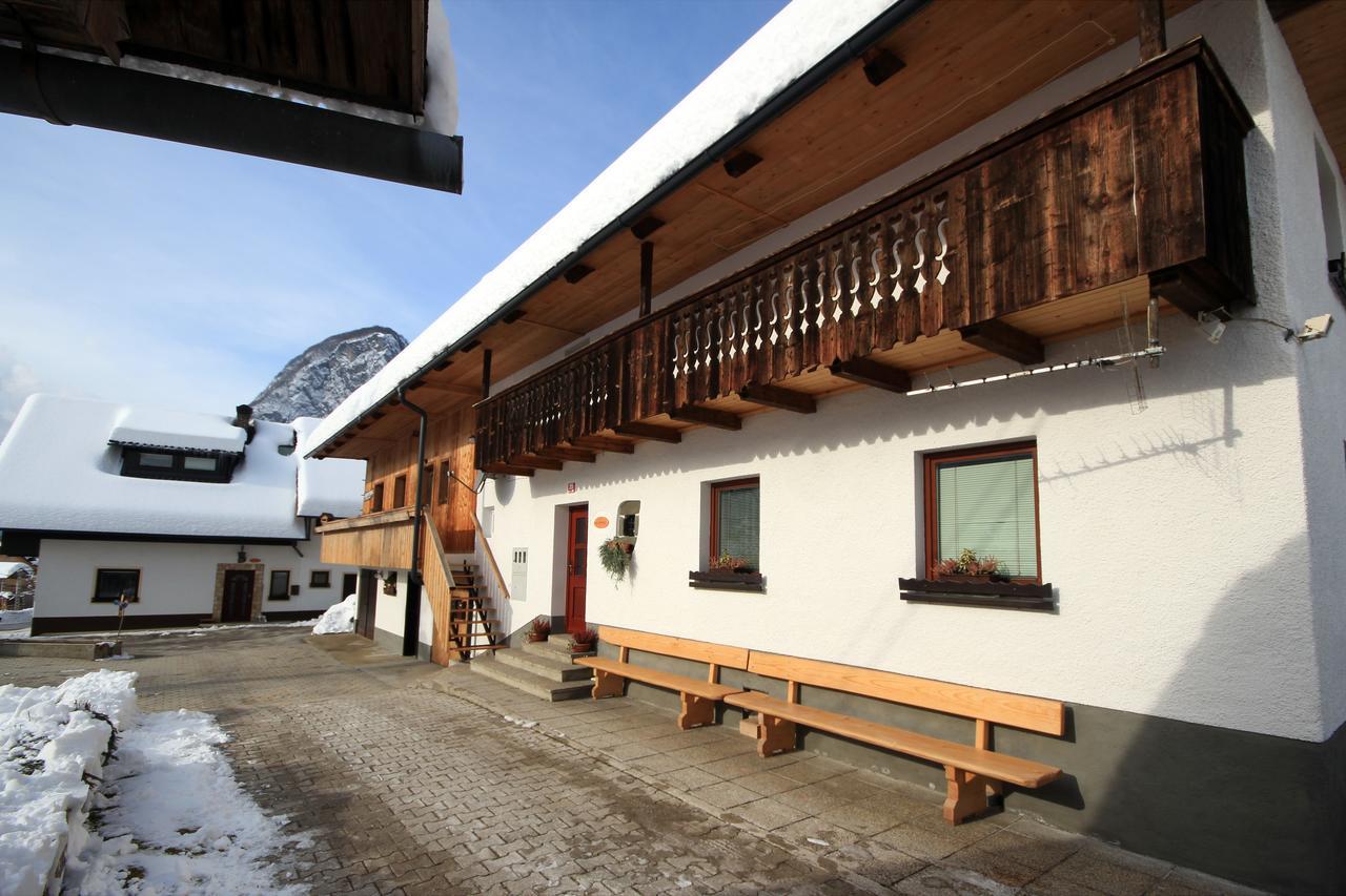 Kocjanc Appartement *