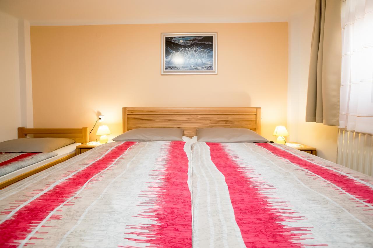 Apartment Kocjanc *